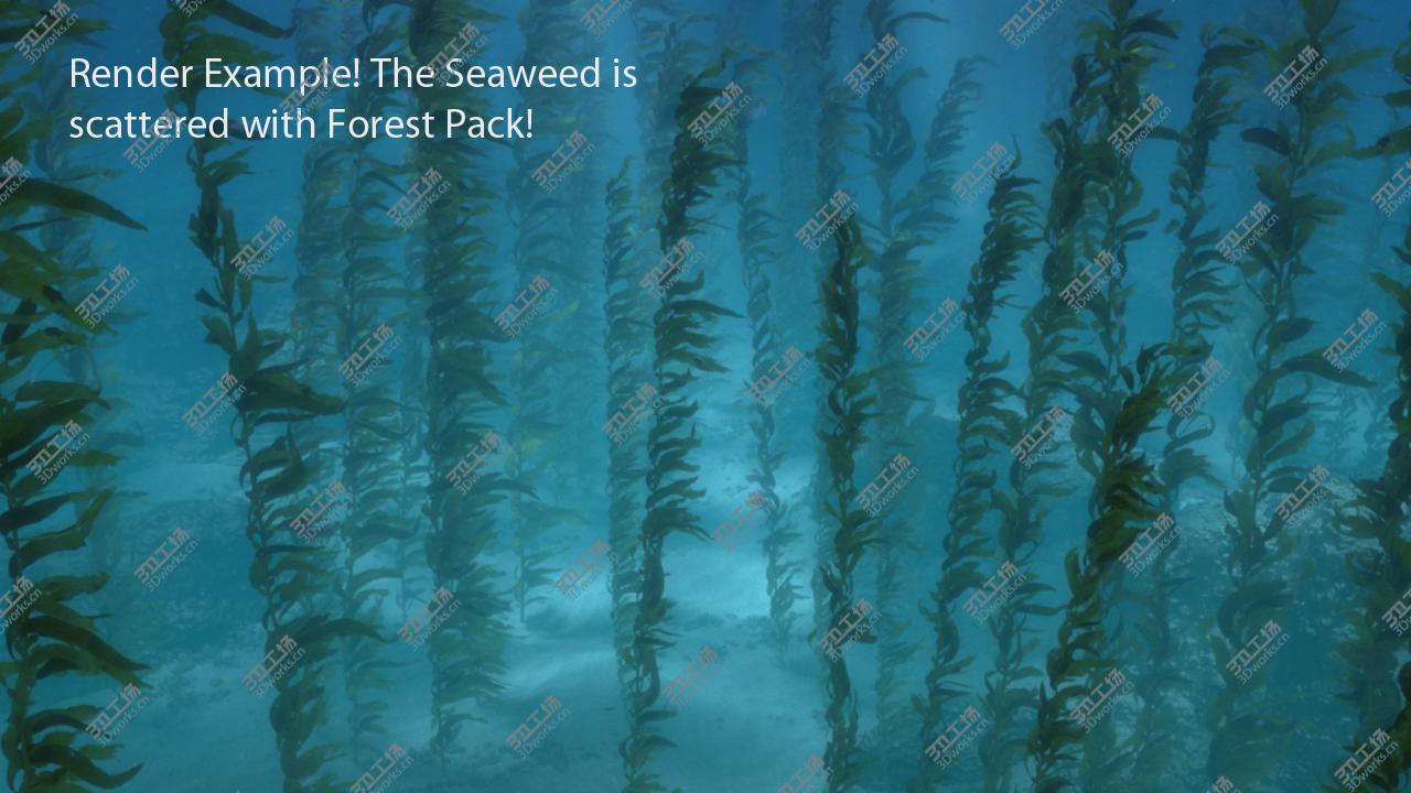 images/goods_img/2021040234/Seaweed Animated 3D model/2.jpg